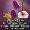 beatriz1203